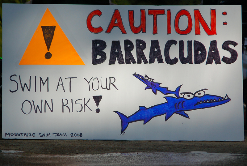 barracuda_0113