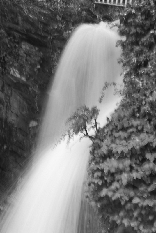 06-16-10_0001